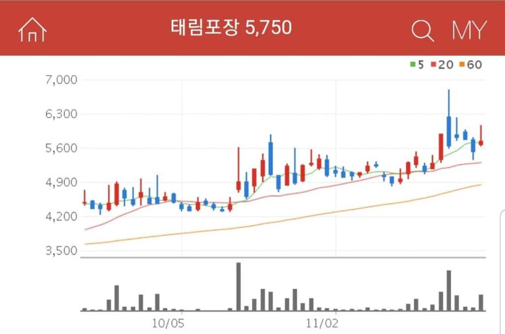 포장 관련주 태림포장 기업분석